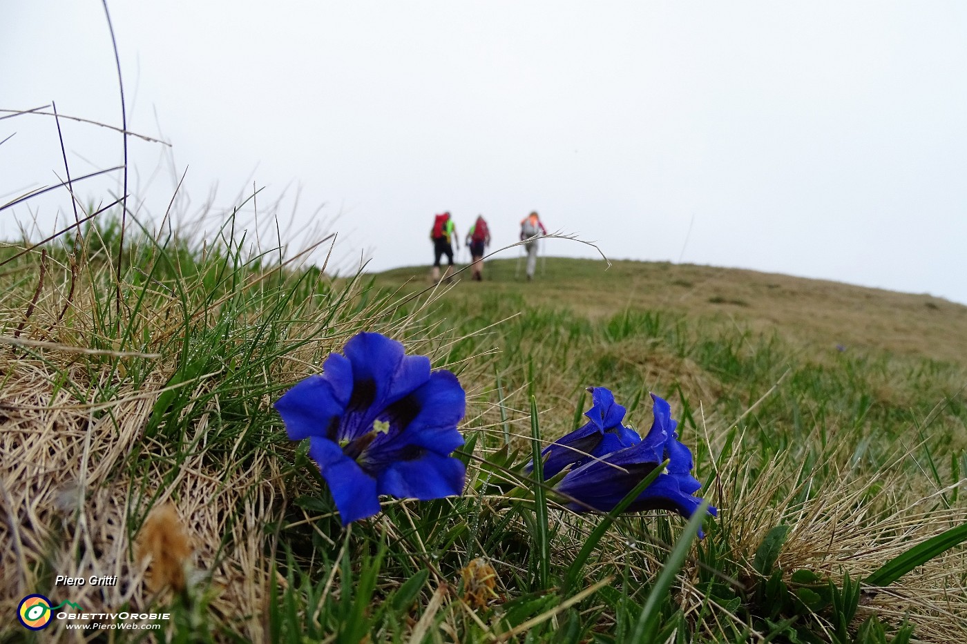 15 Saliamo al Monte Collino.JPG